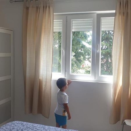 Sanela- Apartman Za Bezbrizan Odmor ツリクヴェニツァ エクステリア 写真