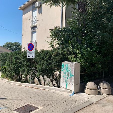 Sanela- Apartman Za Bezbrizan Odmor ツリクヴェニツァ エクステリア 写真