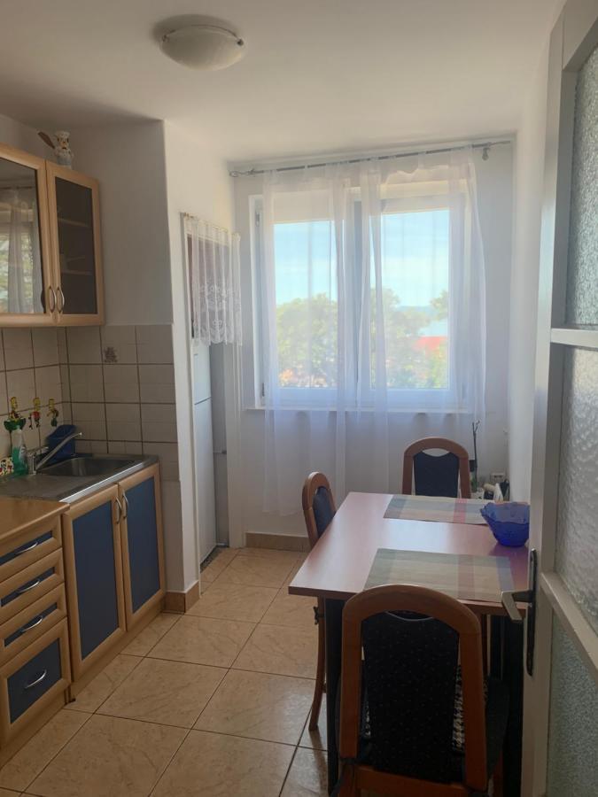 Sanela- Apartman Za Bezbrizan Odmor ツリクヴェニツァ エクステリア 写真